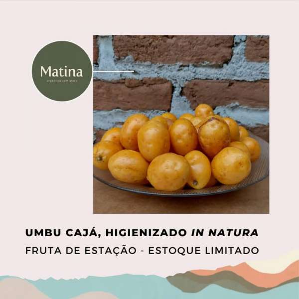 Umbu cajá in natura