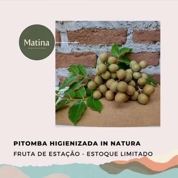 Pitomba in natura
