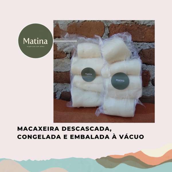 Macaxeira orgânica congelada em pedaços